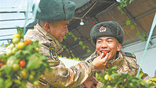 2022，春風(fēng)吹拂喀喇昆侖