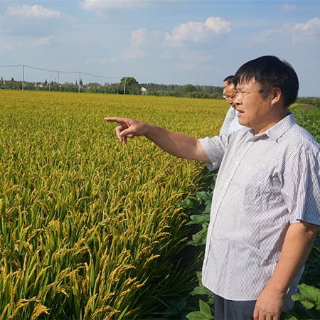 “兵支書”扎根鄉(xiāng)村30年，當(dāng)好脫貧致富帶頭人