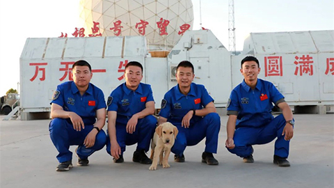 四個人，兩只狗，在無垠沙海中守望著星河……