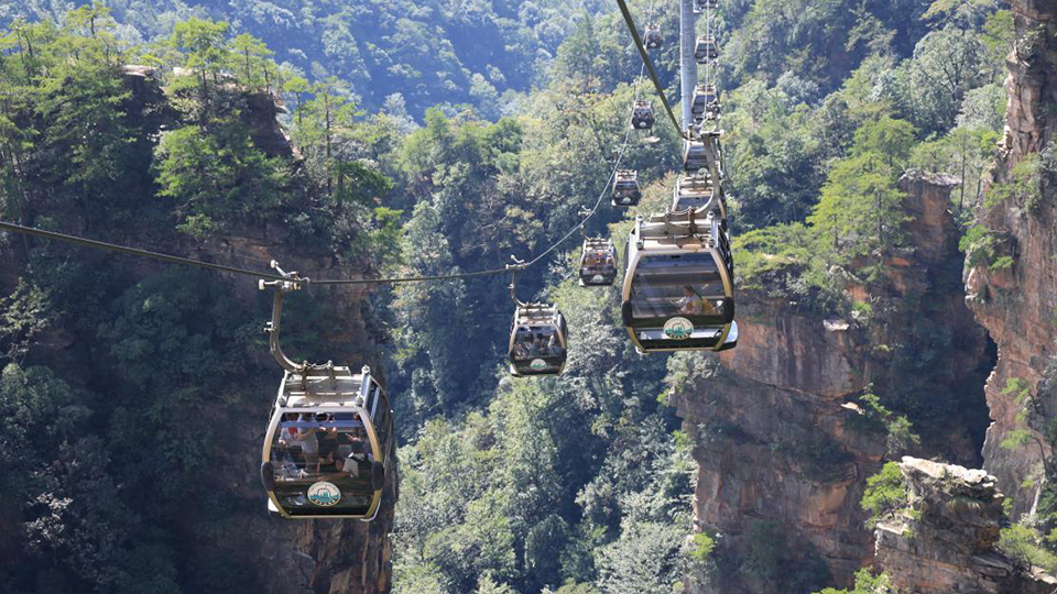 “雙節(jié)”臨近秋游熱